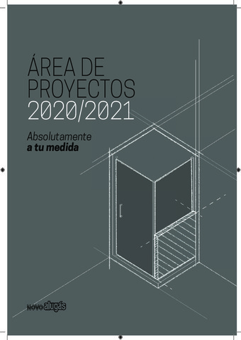 NOVELLINI AREA DE PROYECTOS 2020-2021