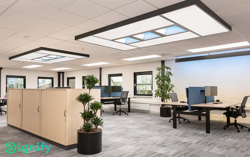 SIGNIFY, Iluminación circadiana en oficinas: un aliado para impulsar el bienestar y la productividad
