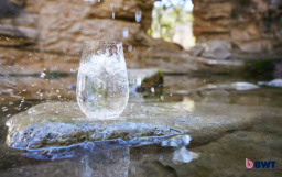 Dispensadores de agua BWT: tecnología, sostenibilidad e innovación en cada gota